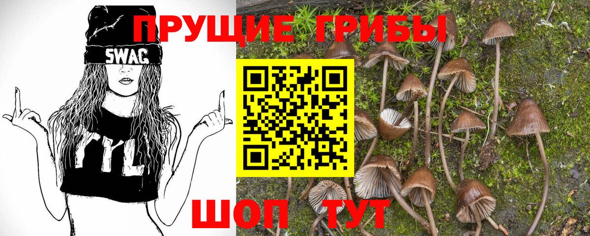 Псилоцибиновые грибы мицелий Лангепас