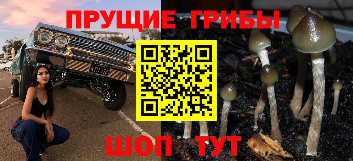 Псилоцибиновые грибы мицелий  Вход с VPN  Лангепас 